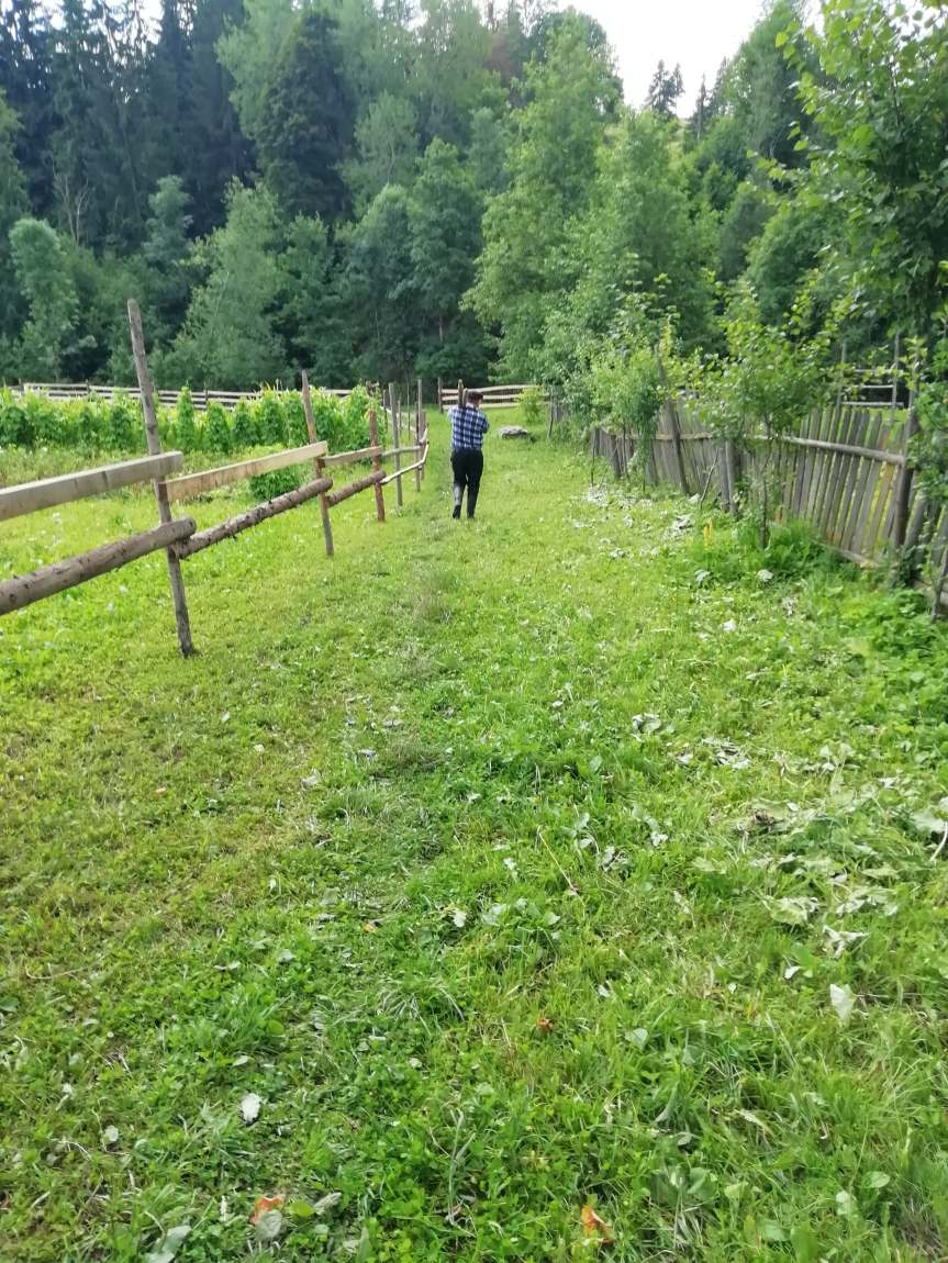 67181558_2379650798785332_3036932793310380032_n