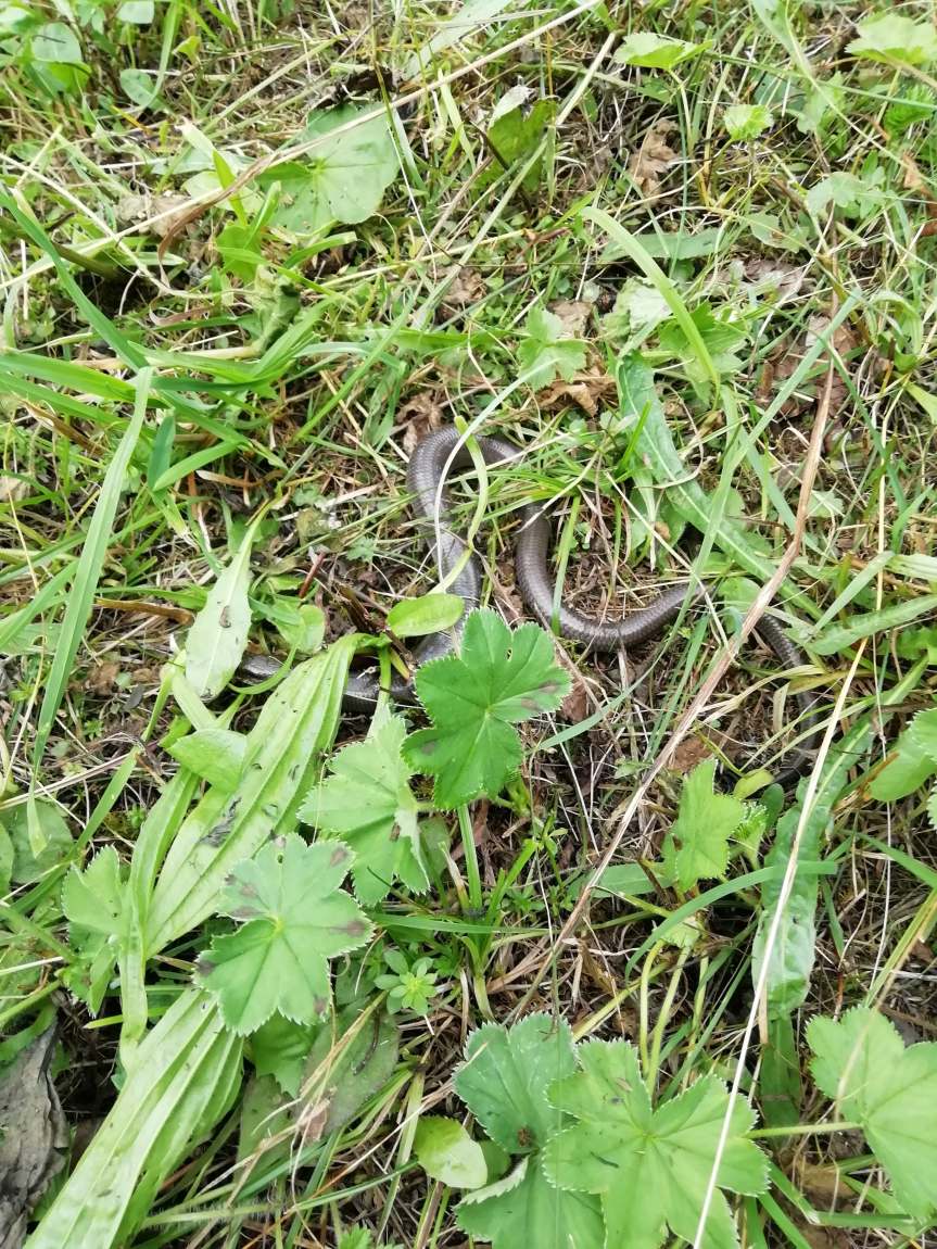 67245392_631187097378399_8110514347962269696_n