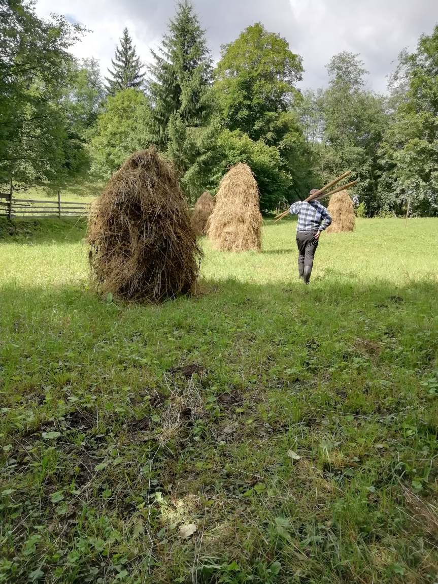 67491524_2765429330151953_4042814305832271872_n