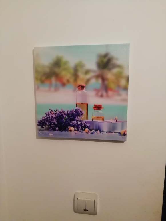 69260074_345281649681059_4936554879385600000_n