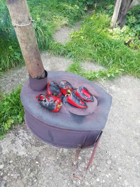 69340849_959824494361688_866583482455818240_n