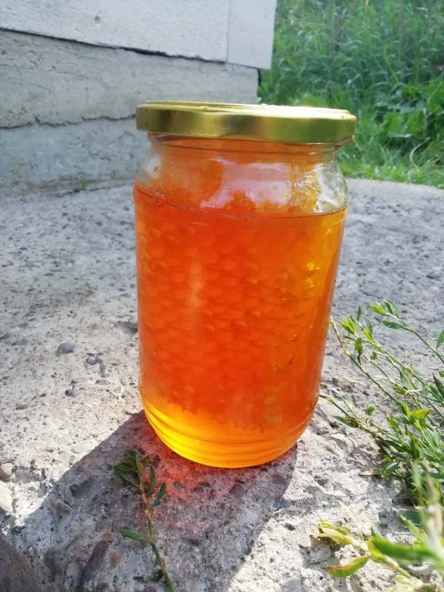 69554648_864802857238978_5976931602133942272_n