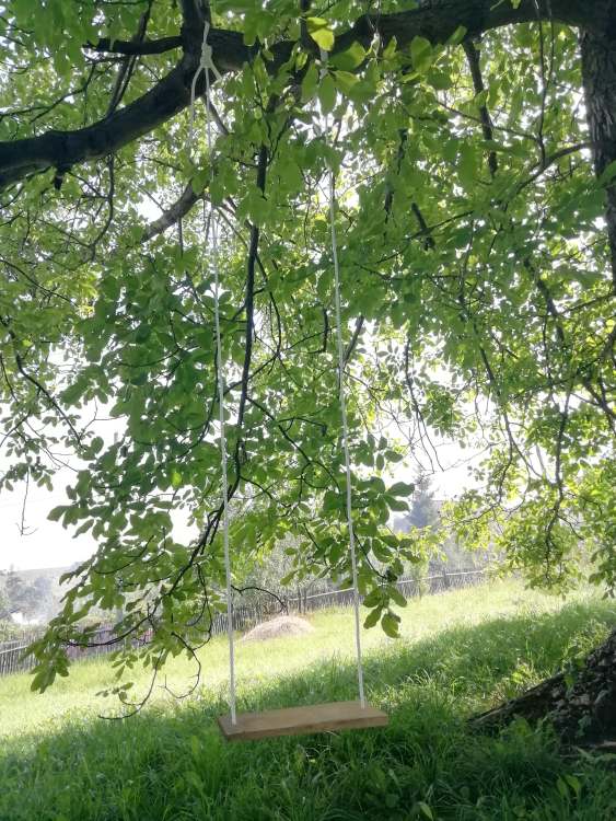 69693027_505864963574607_3214828294306267136_n