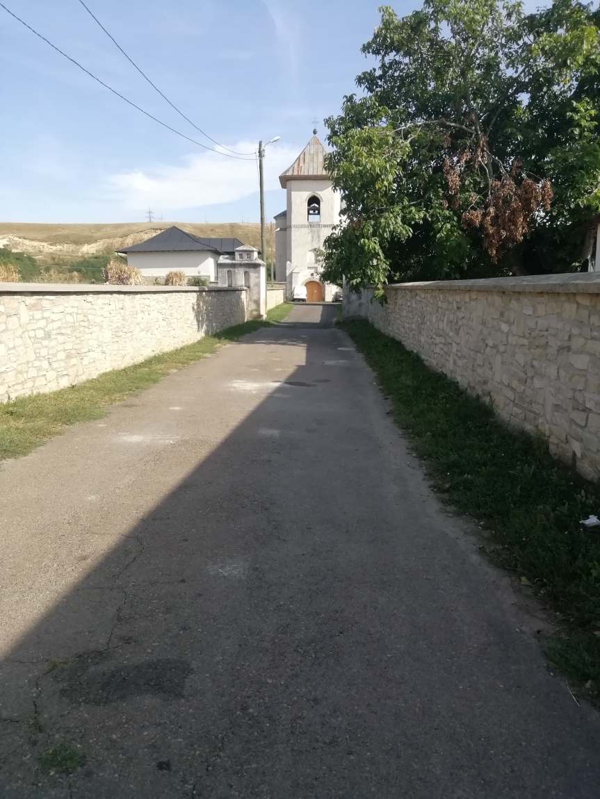 70463564_414225999230903_1437637291840372736_n