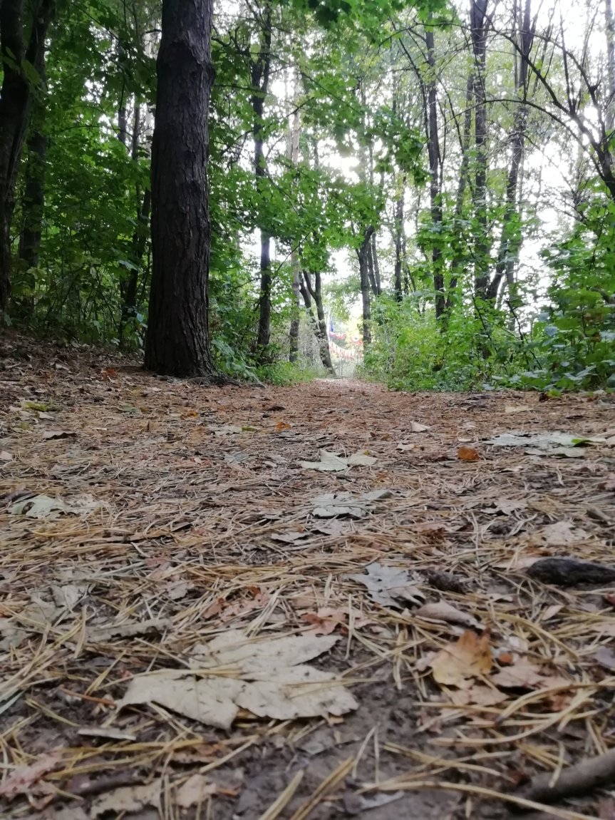 Dragoș Huțuleac: Despre cărări și sfârșitul&nbsp;lumii