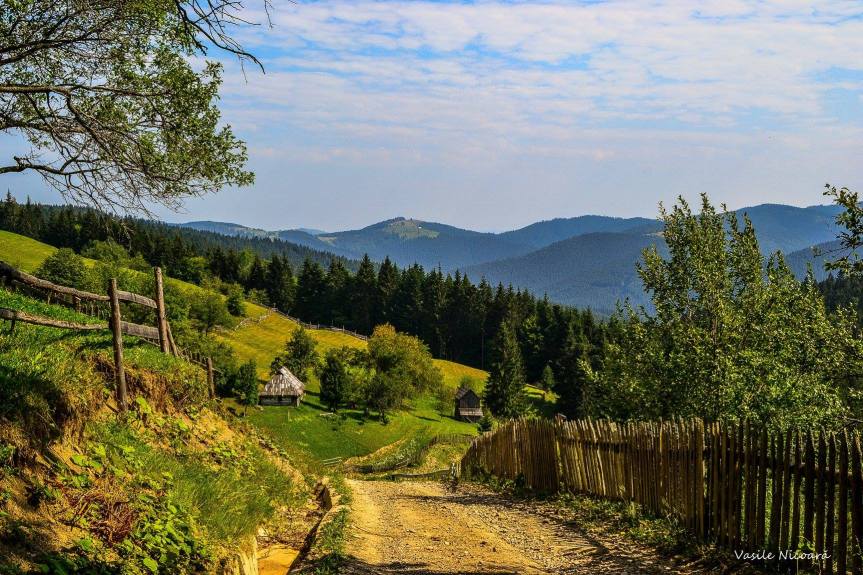 Vrăjitoarea din Zalomestra