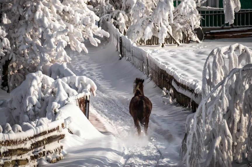 Pentru că nimic nu mai este cum a&nbsp;fost…