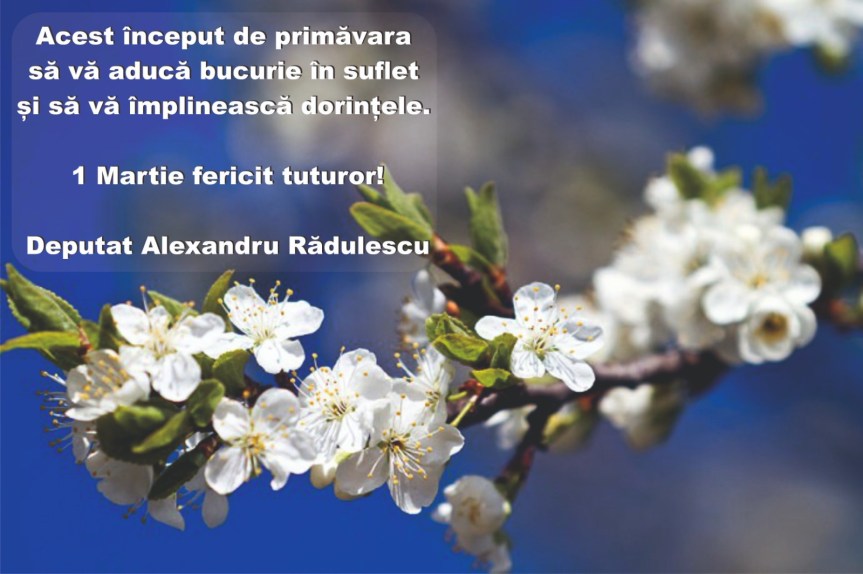 felicitare dnul Radulescu - Copy