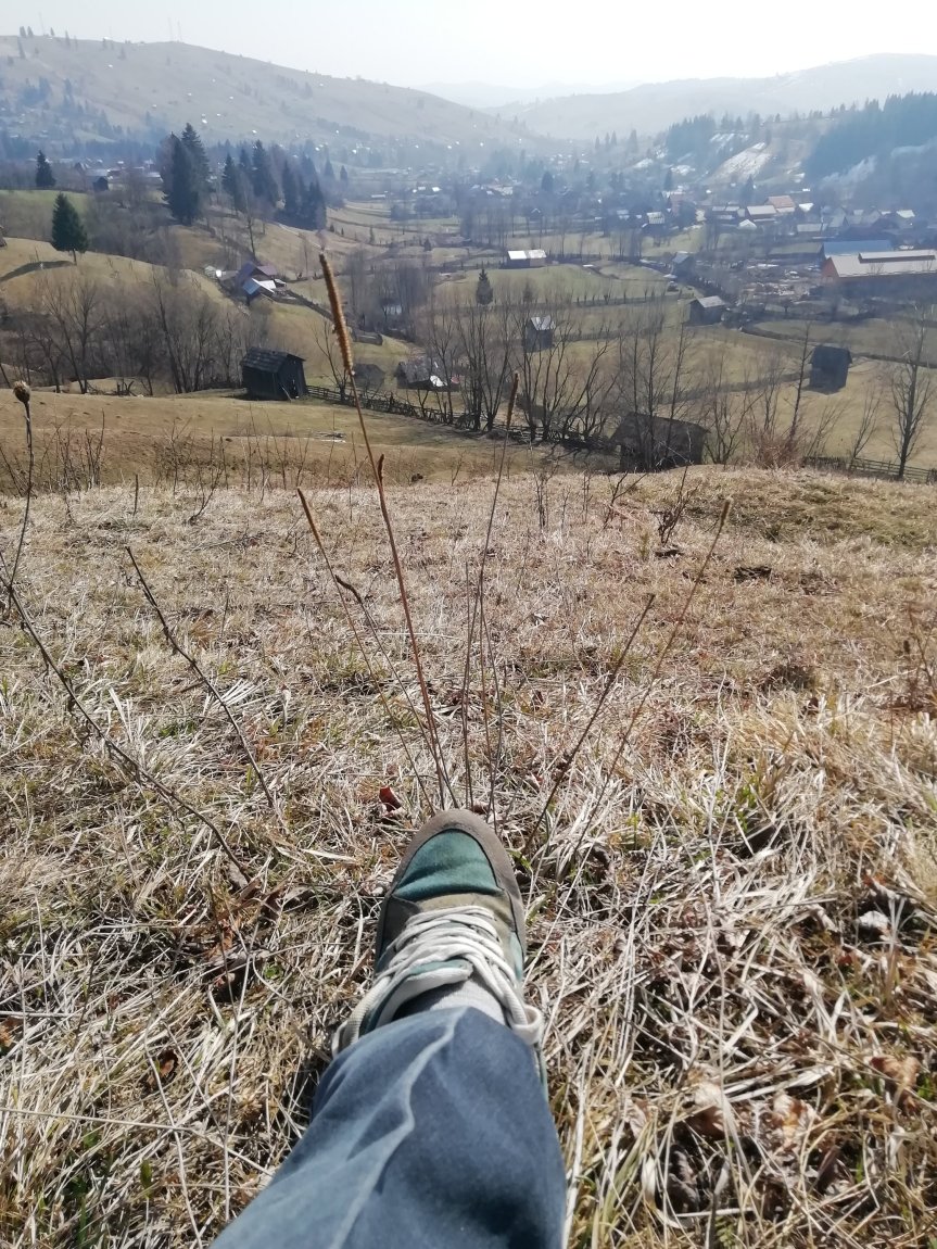 Jurnal de coronavirus din&nbsp;Paltinu