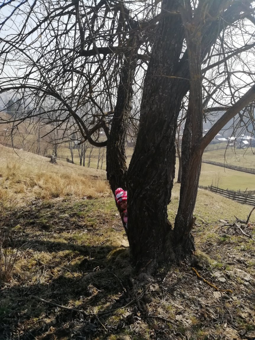 Viața la țară și&nbsp;coronavirusul