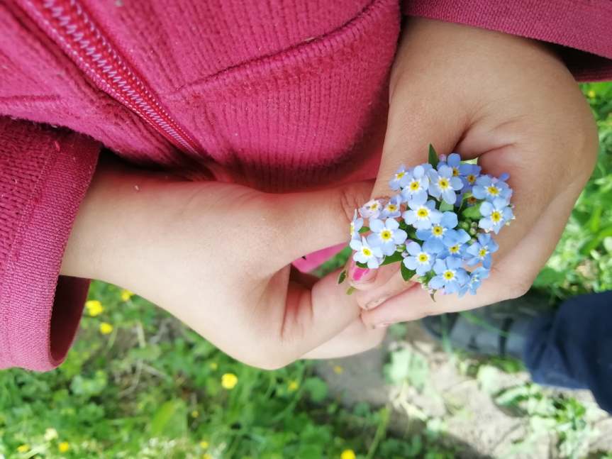 Despre flori și&nbsp;copii