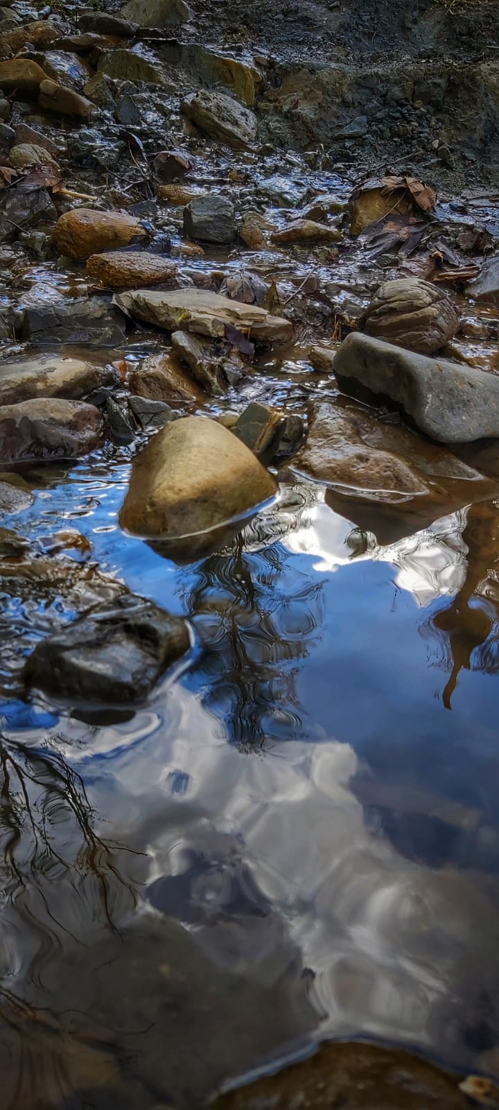 Legendele muntelui Păușa (partea&nbsp;I)