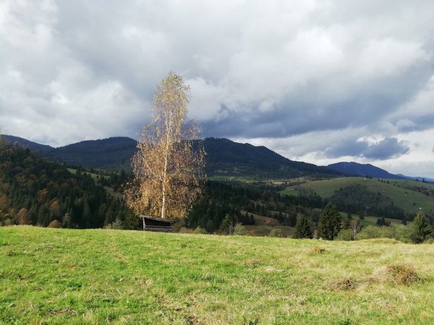 Pe Valea Sălătrucului din&nbsp;Molid