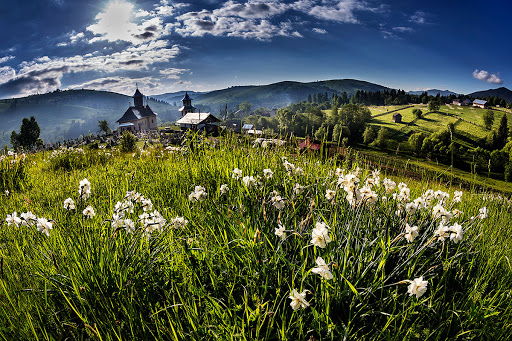 ChatGPT: „Prin Păduri și Mănăstiri: O Poveste din Inima Bucovinei”