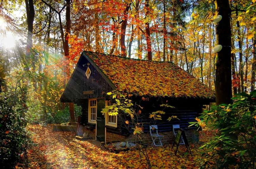 A vrut să-l înșele pe altul și, de fapt, singur s-a&nbsp;înșelat.