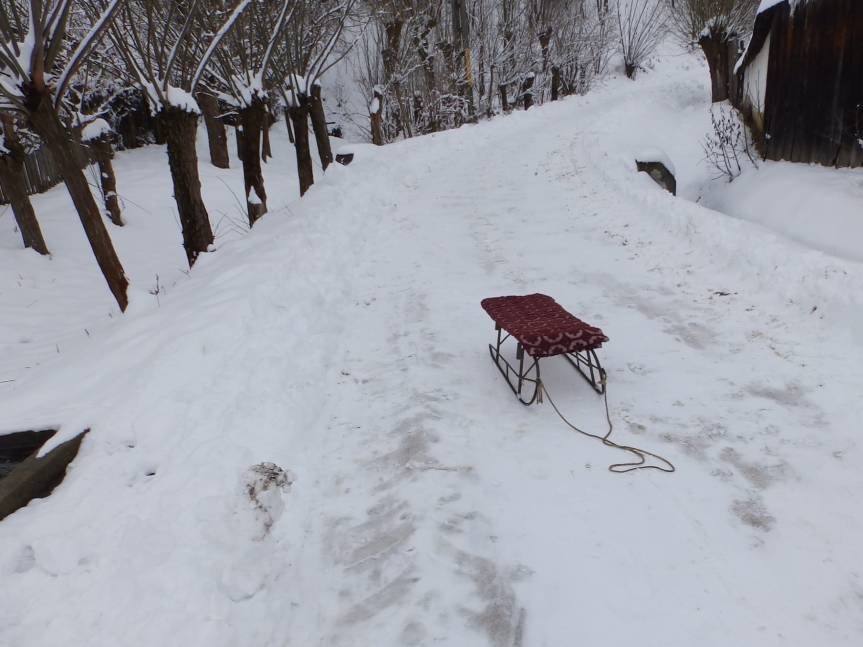 Petru Stelian Vasiliu: Primiți cu&nbsp;plugușorul?P