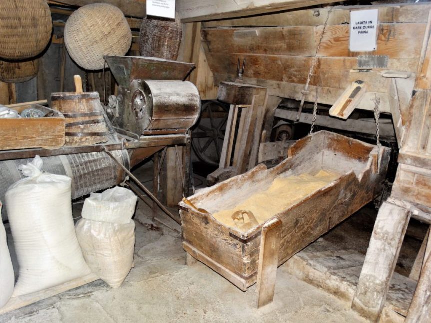 Daniela Andries: LA&nbsp;MOARĂ