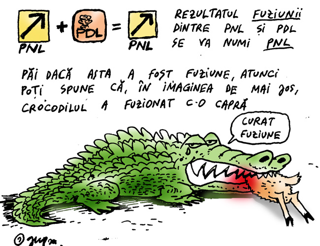 Dan Șarpe: Falsitatea din jurul unor liberali&nbsp;suceveni