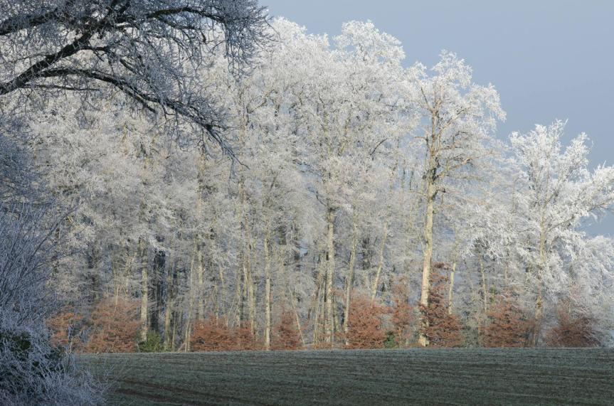 Vremea se schimbă radical: val de frig și temperaturi negative în toată&nbsp;țara