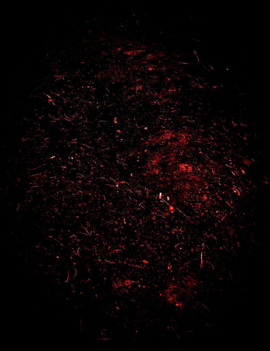 Tudor Caciur-Aioanei: „Stricăciune”